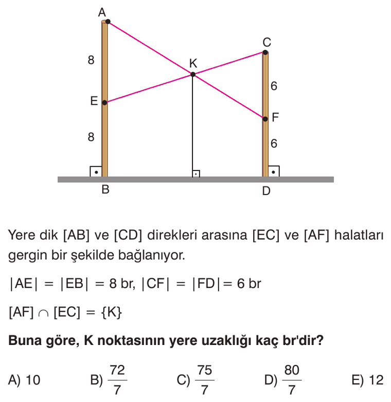Üçgende Benzerlik sorusu 2